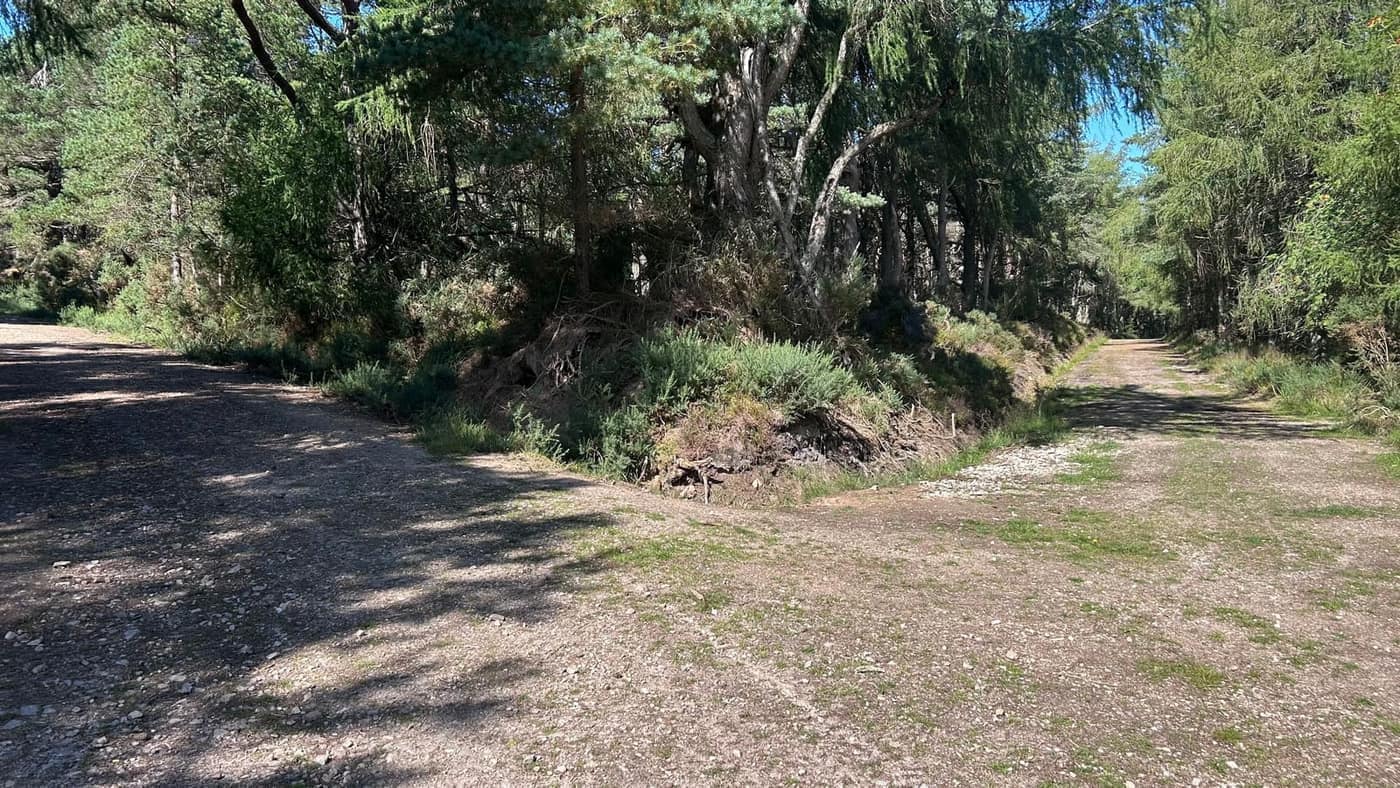 The second junction, ten minutes further up — left again is the way to
the summit
