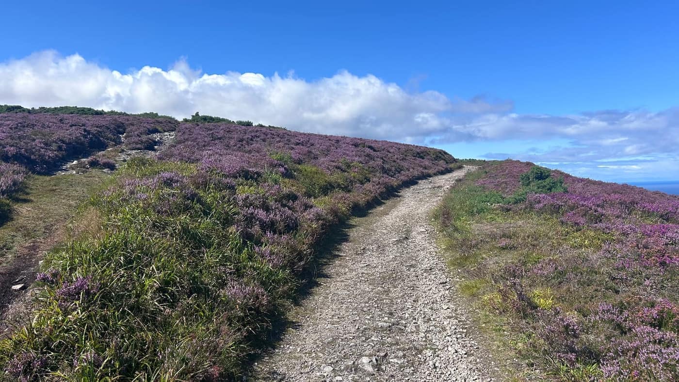 The final pull to the summit — stony path through open heather, no
trees left to hide the top