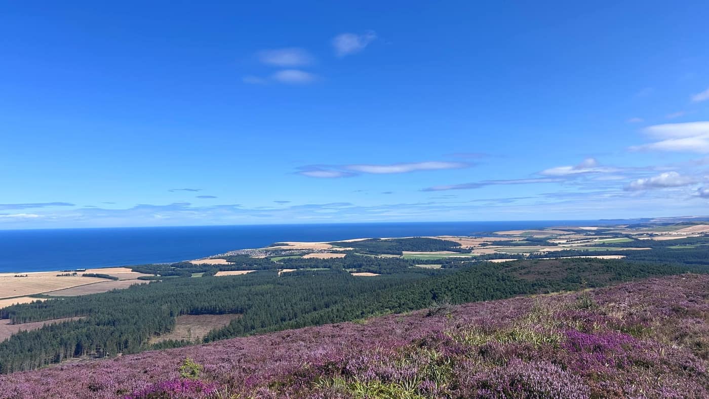 The summit view — heather, forestry, harvest fields and the Moray Firth
beyond