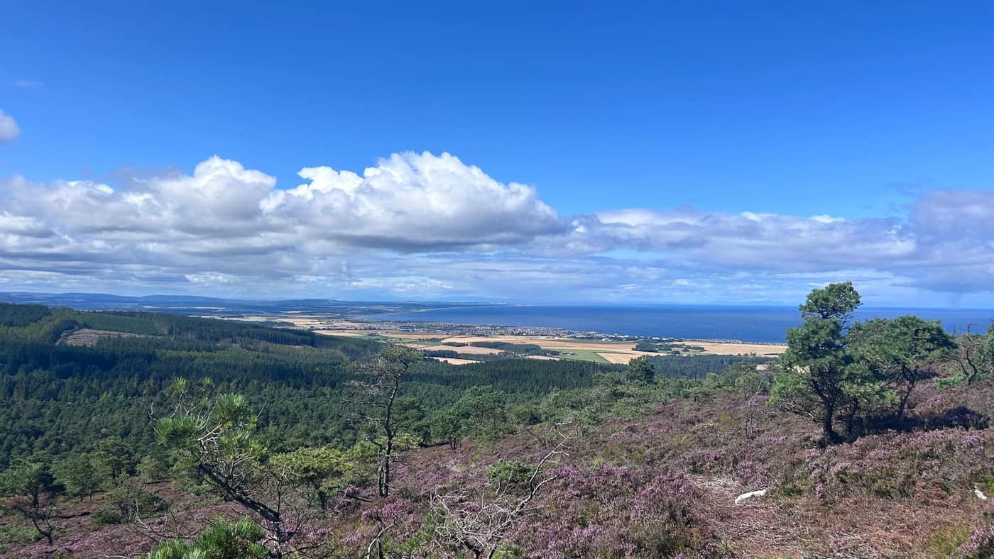Looking south — fields, forestry and rolling hills
inland