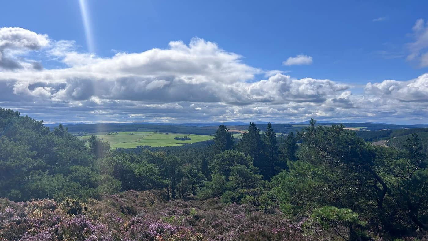 Looking north over the forestry to Cullen and the Moray
Firth