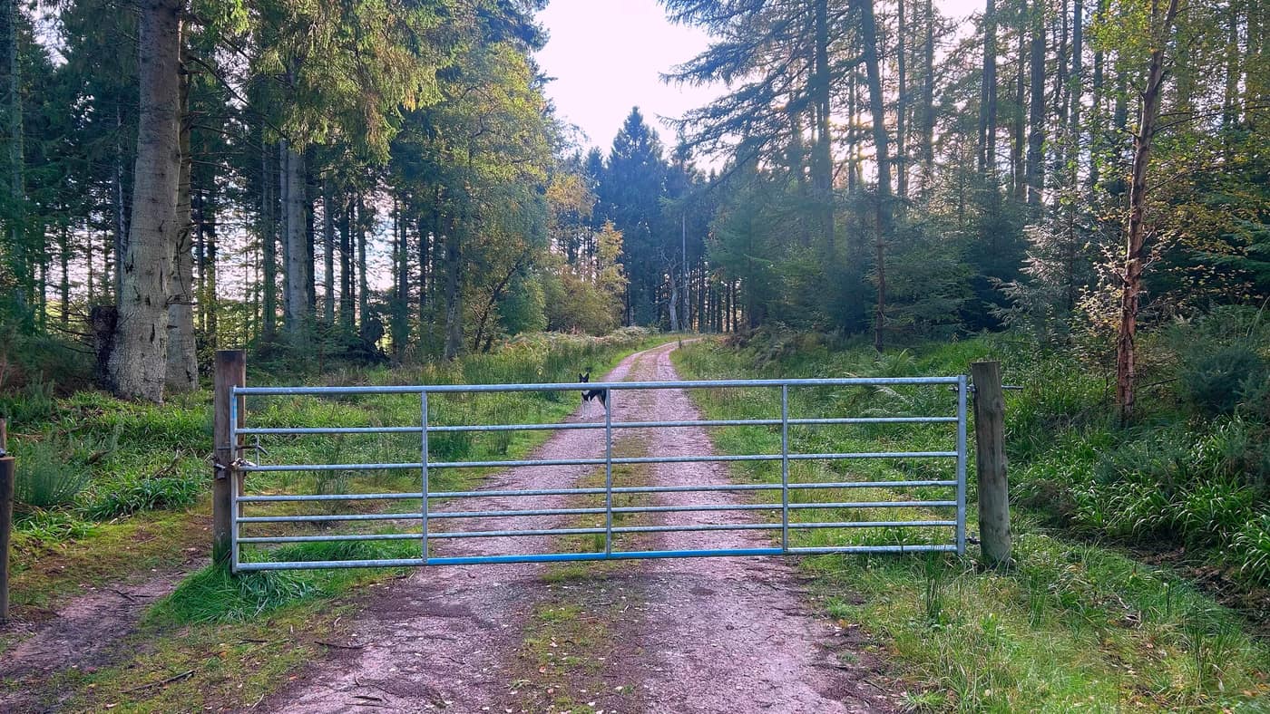 The padlocked metal gate across the track, Chase already through and looking back