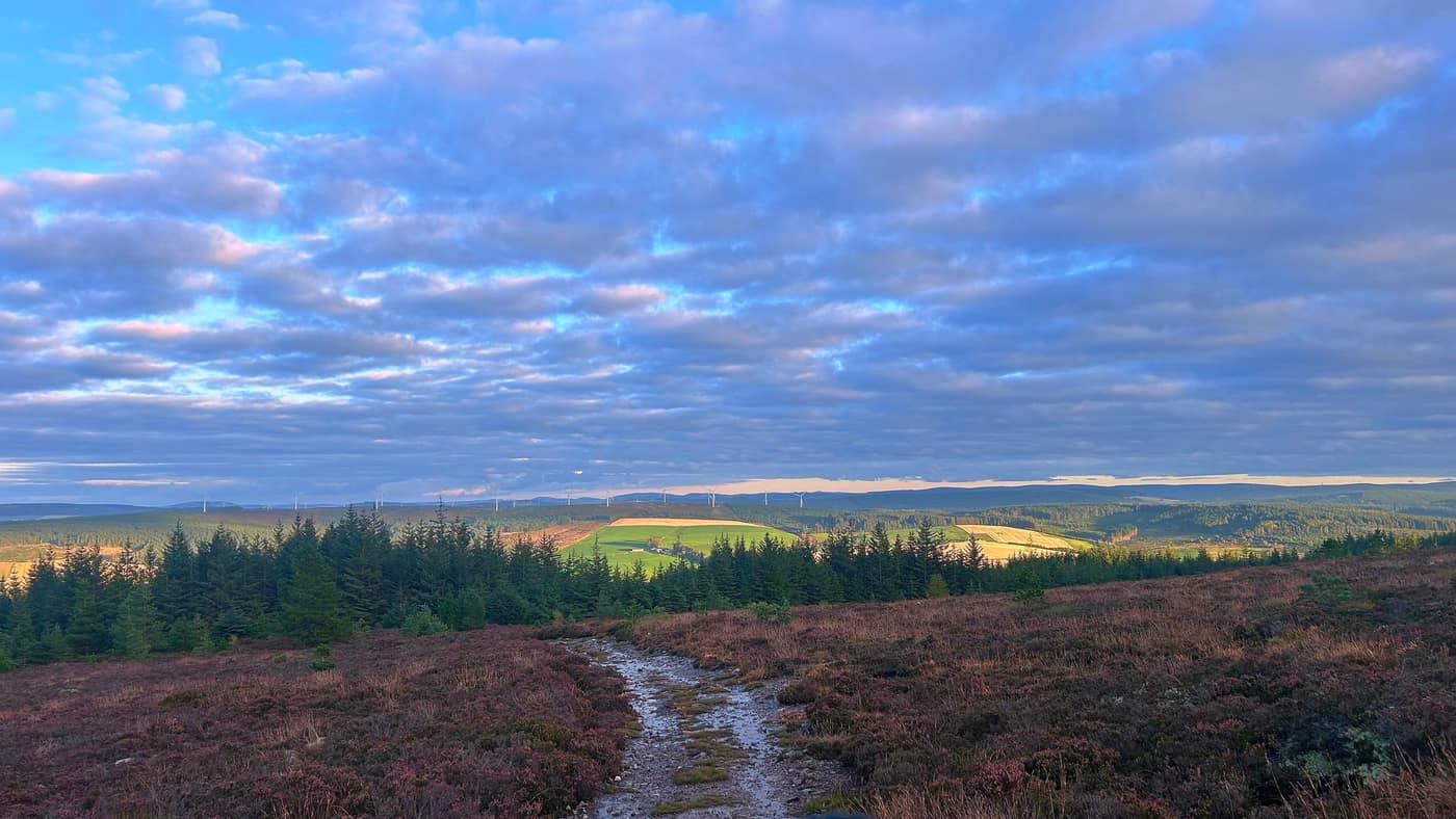Looking back over the heather to the windmills and the fields below