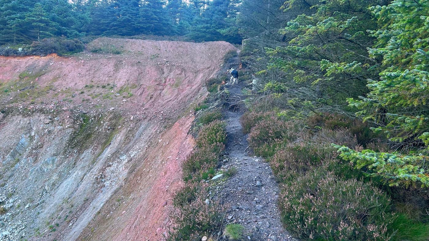 The wee path climbing the right-hand edge of the quarry, Chase leading the way