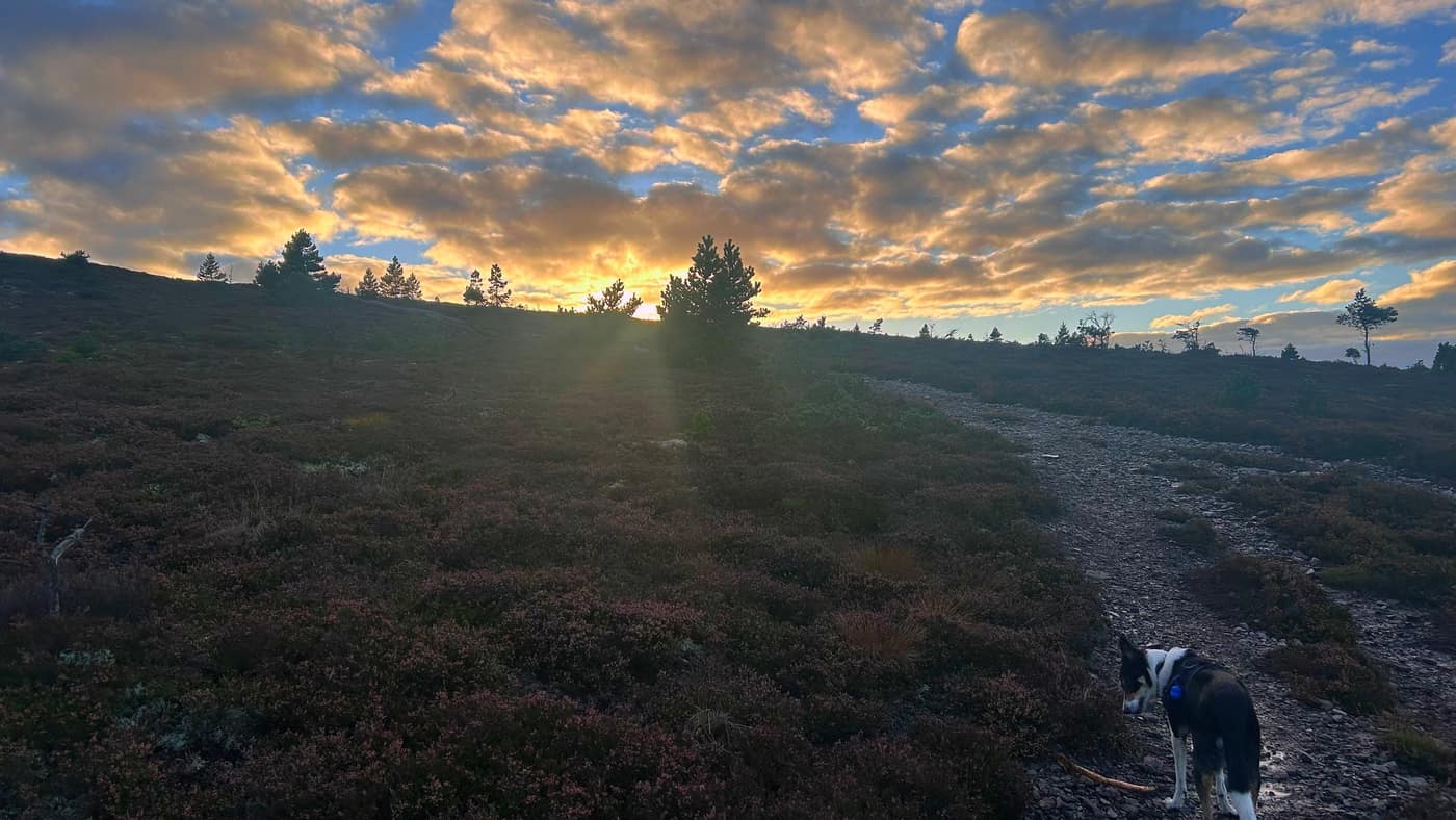 The sun breaking low over the ridge, Chase on the stony path