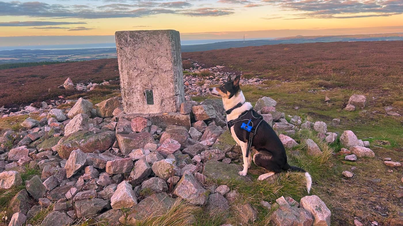 Chase sitting at the trig point, looking out at the view