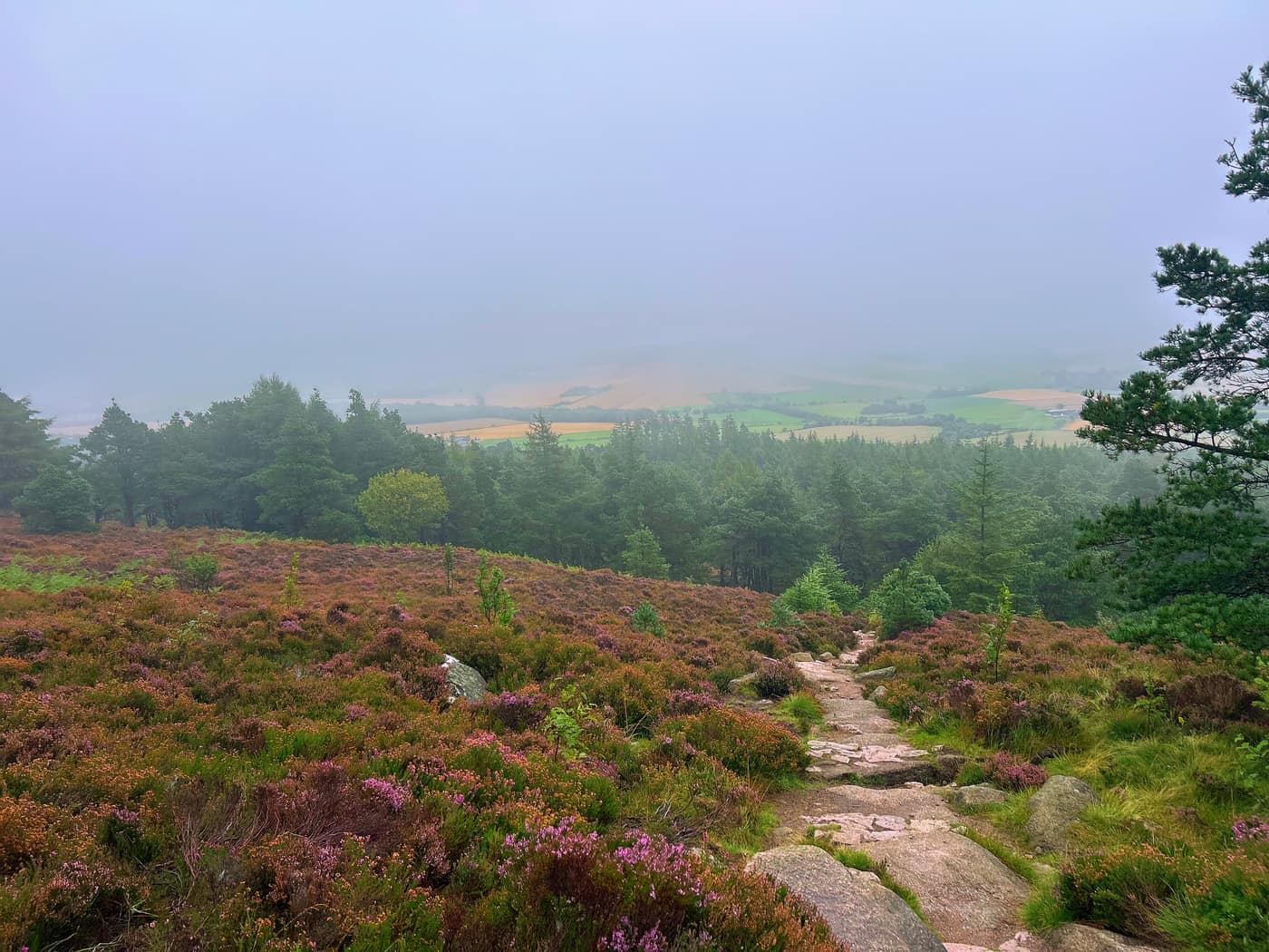 The path dropping away through the heather, with fields and forestry below fading into mist