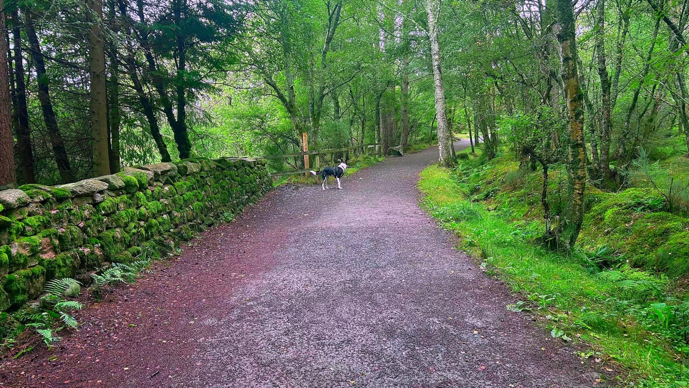 The wide gravel path below the centre, running past a mossy dry stone wall