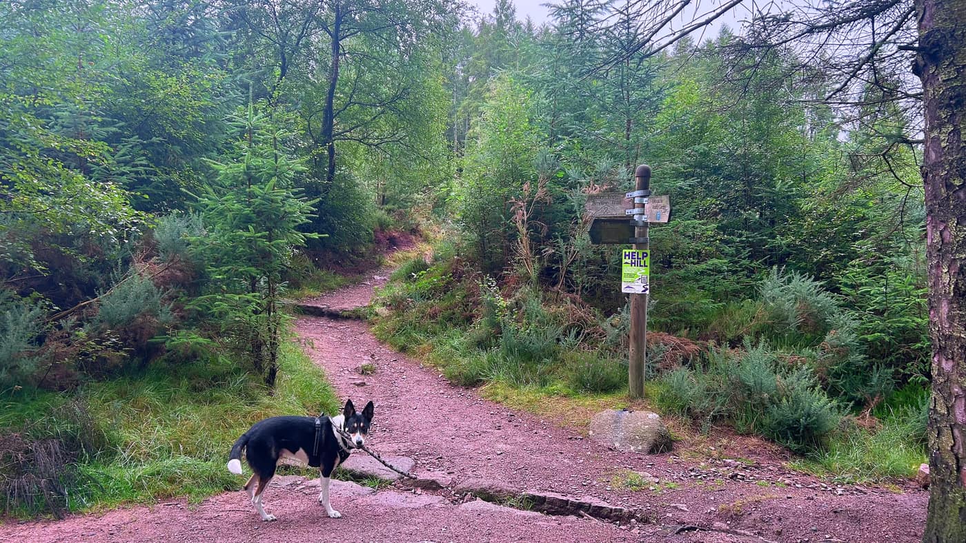 The third sign, where the wide track narrows to a path and starts to climb