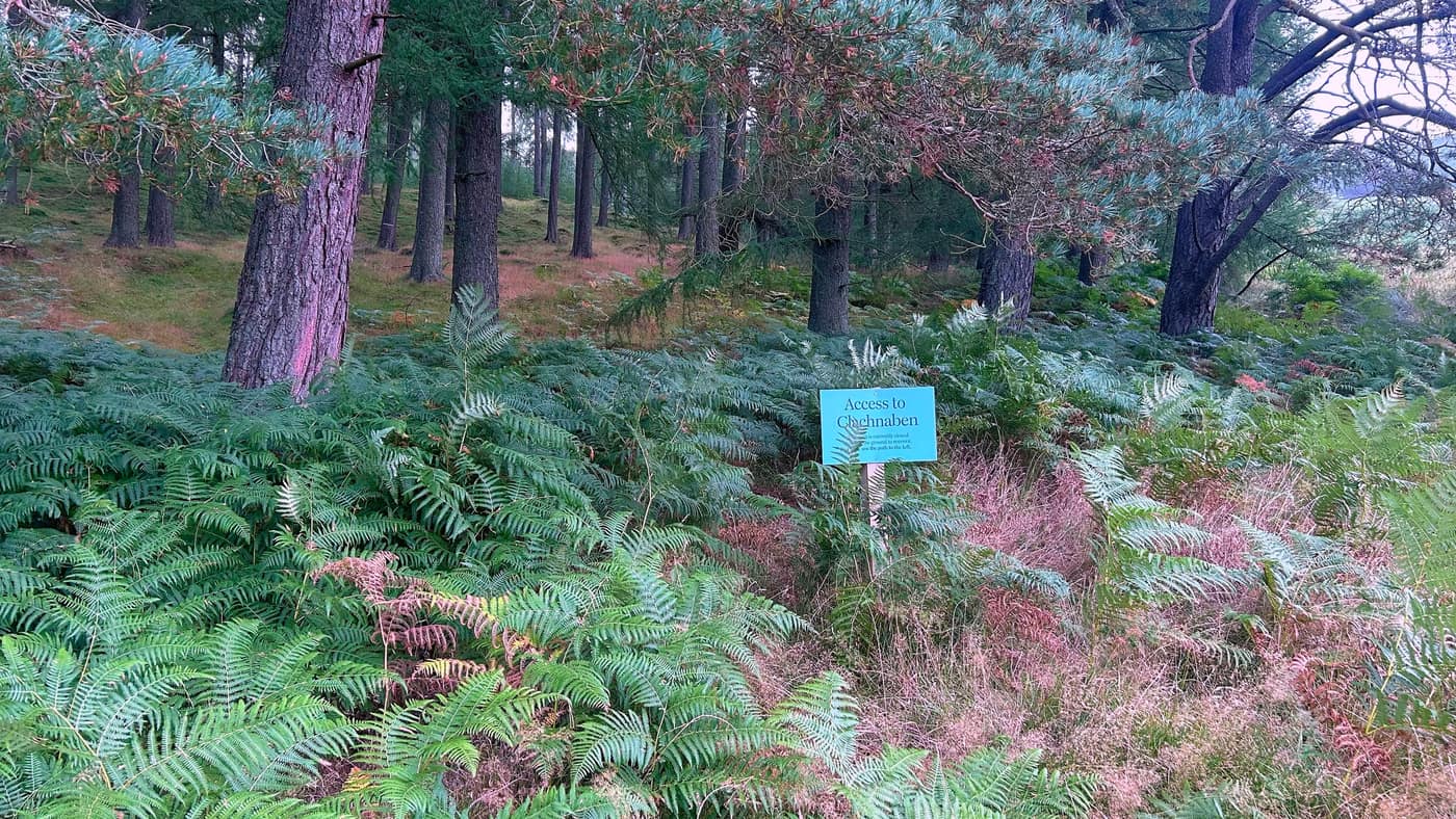 A blue sign in the bracken reading Access to Clachnaben, saying the path is closed to let the ground recover and to use the path to the left