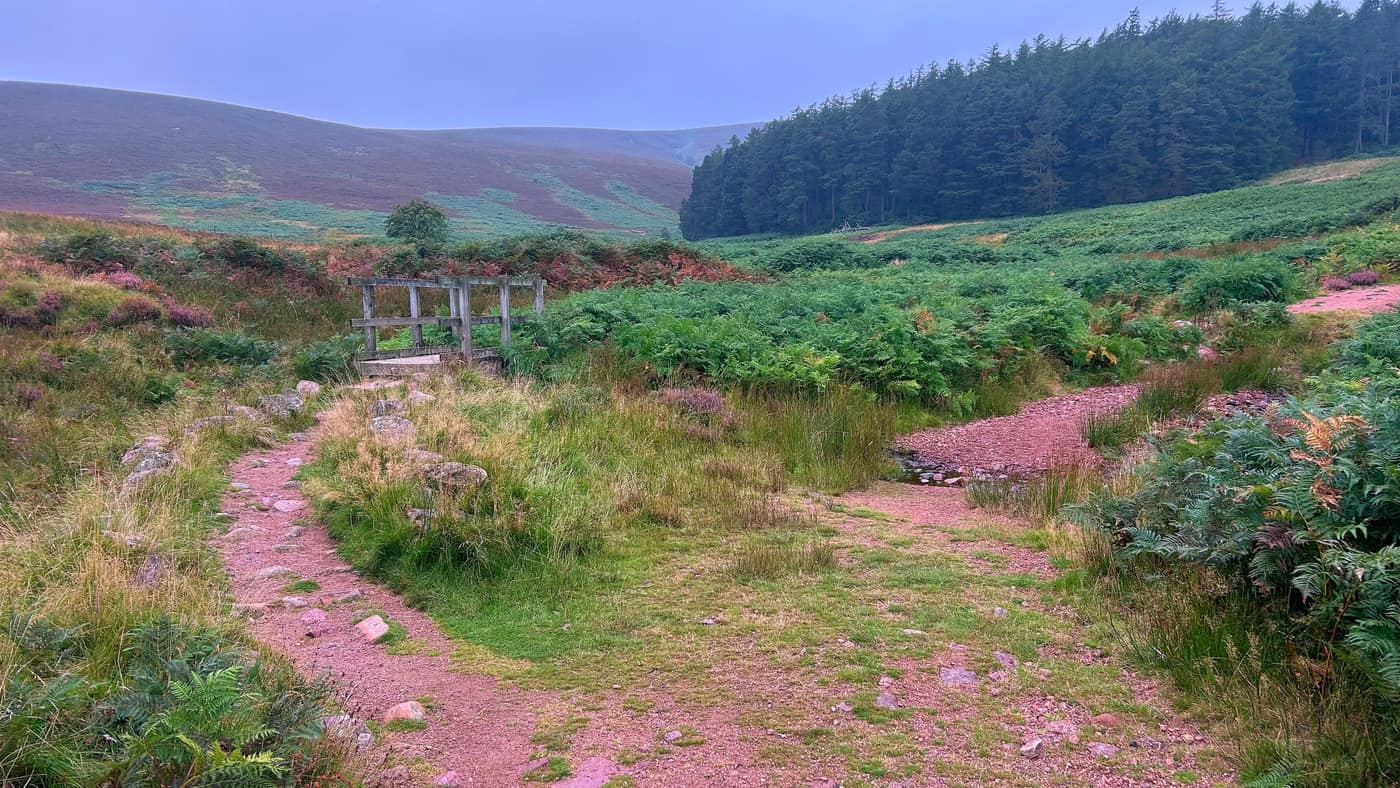 Looking back down the glen from the bridge