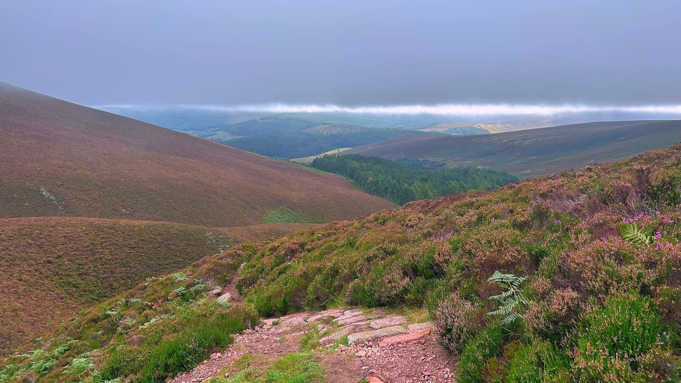 A flat band of cloud sitting across the glen above the forest