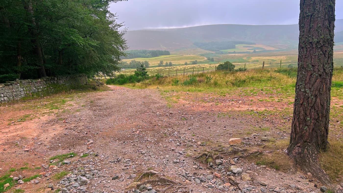 Out of the trees at the first junction, a dry stone wall on the left and the moor opening up ahead