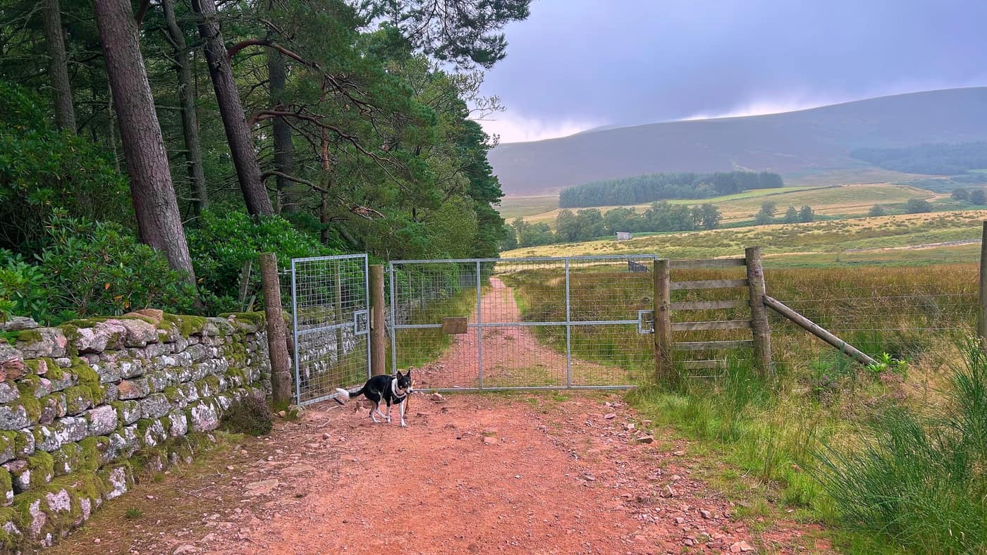 The metal gate at the bottom of the track with Chase standing at it