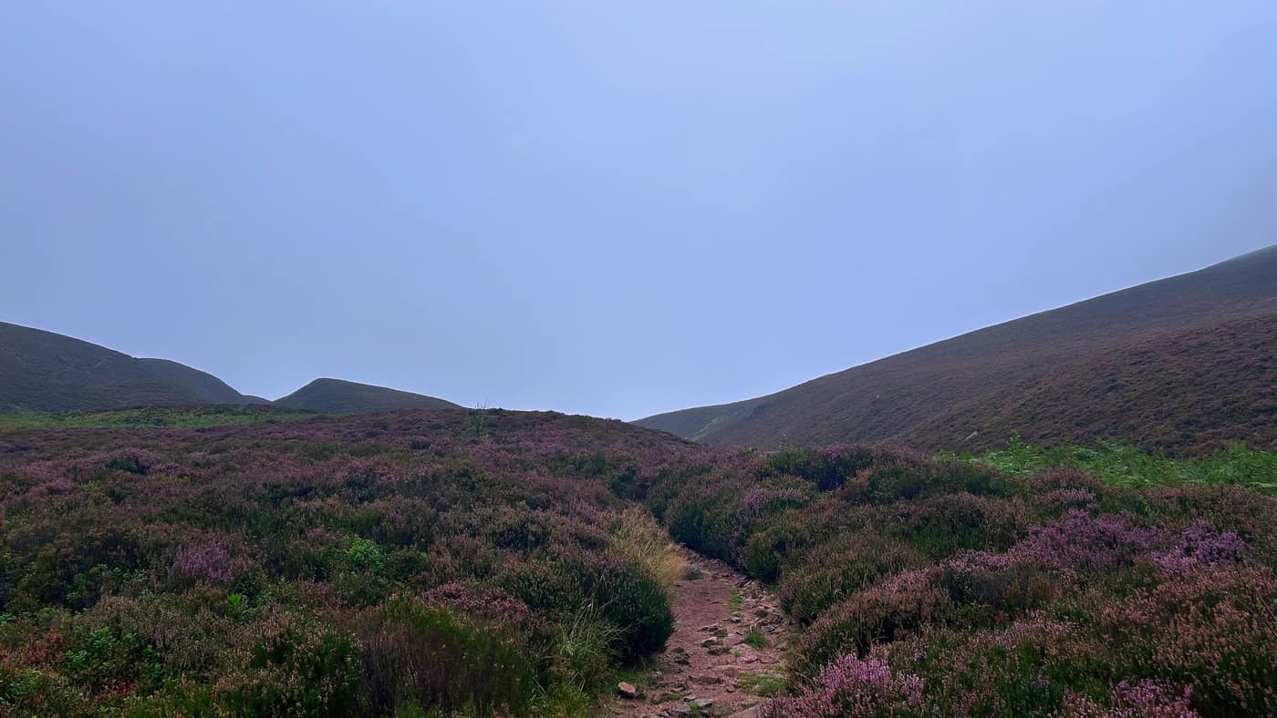 The path climbing through the heather up into the col