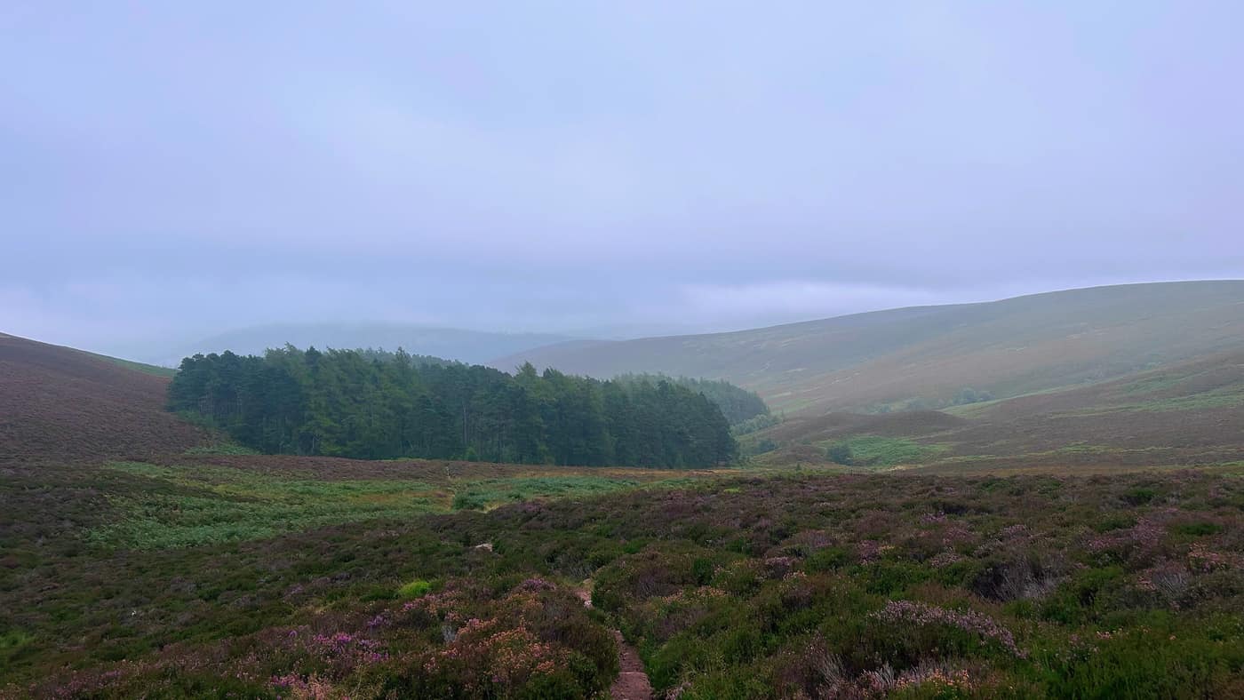Looking back down over the forest with the mist coming over the hills behind it