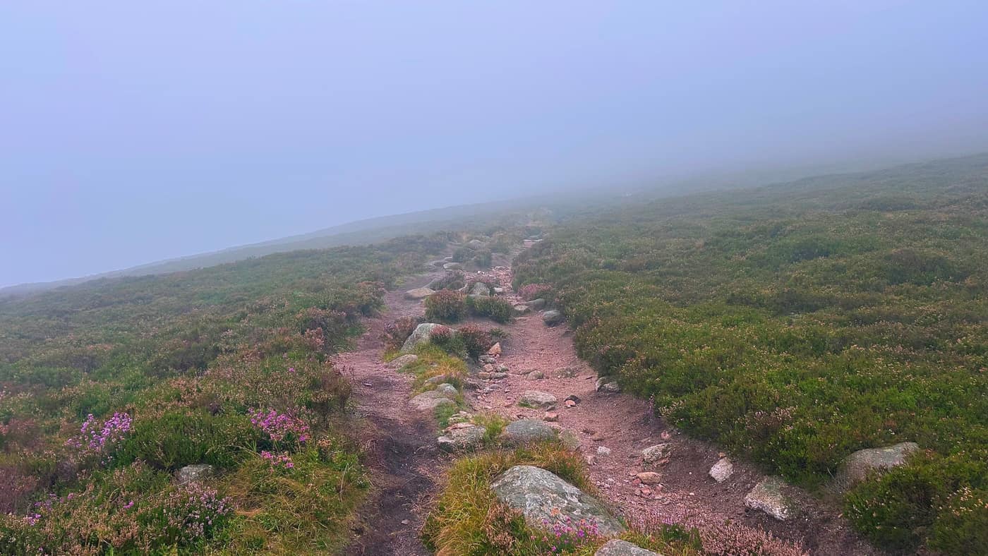The path running up into grey with nothing visible at the end of it