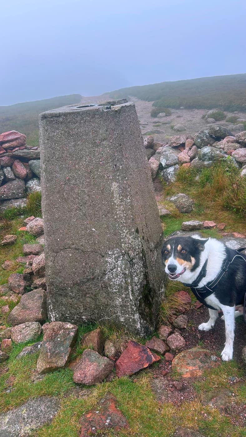 Chase beside the trig point at the top