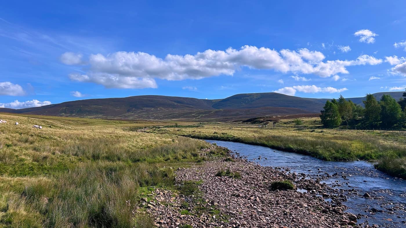 The river winding back down the glen, sheep out on the grass