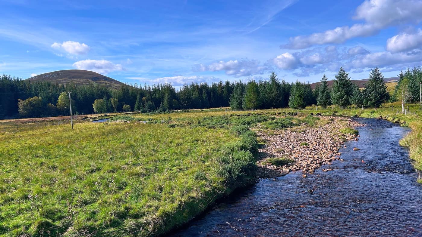 The river running wide over shingle near the end, forestry beyond