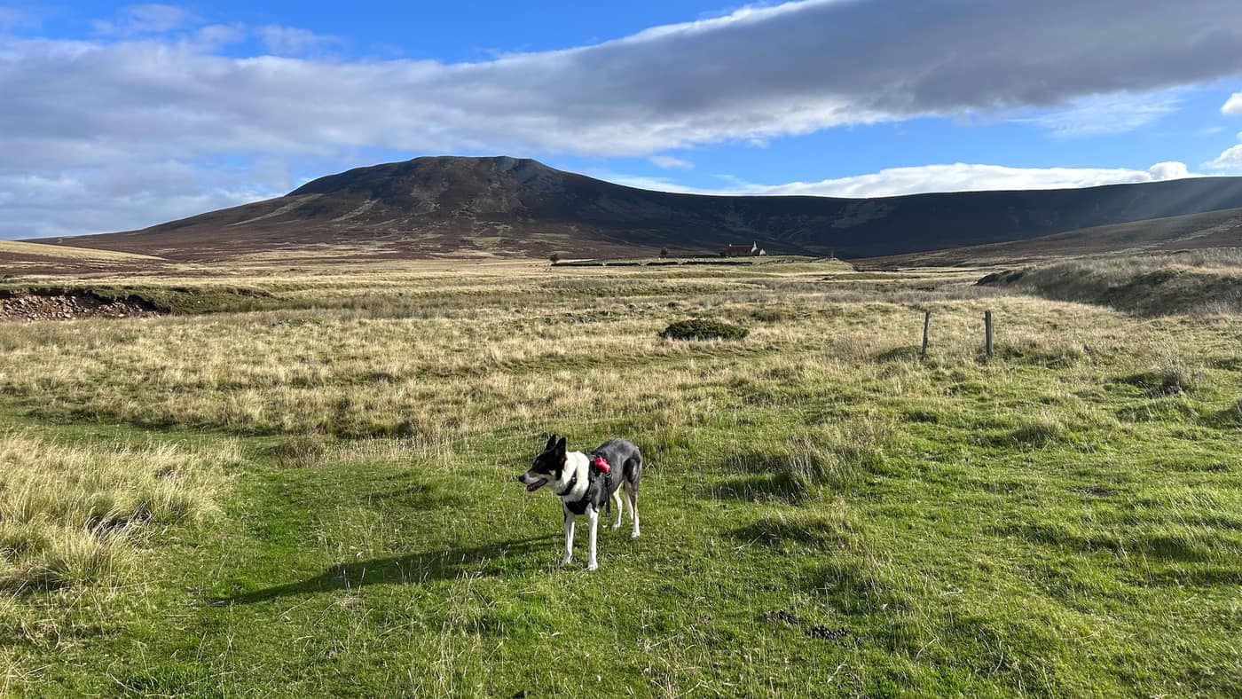 Chase on the flat, the abandoned farmhouse showing away at the foot of the hill