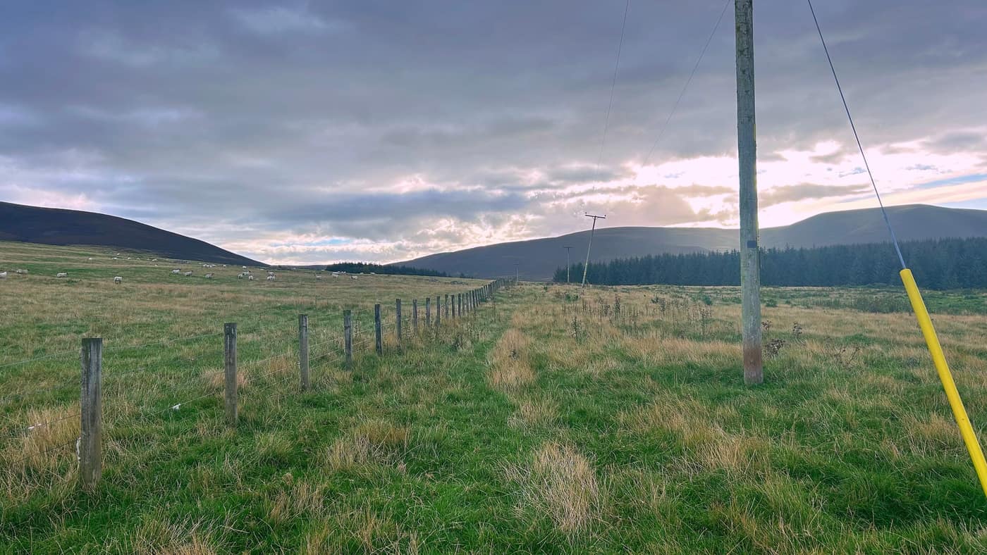 The field with the fence on your left, sheep beyond it and the poles marching on ahead