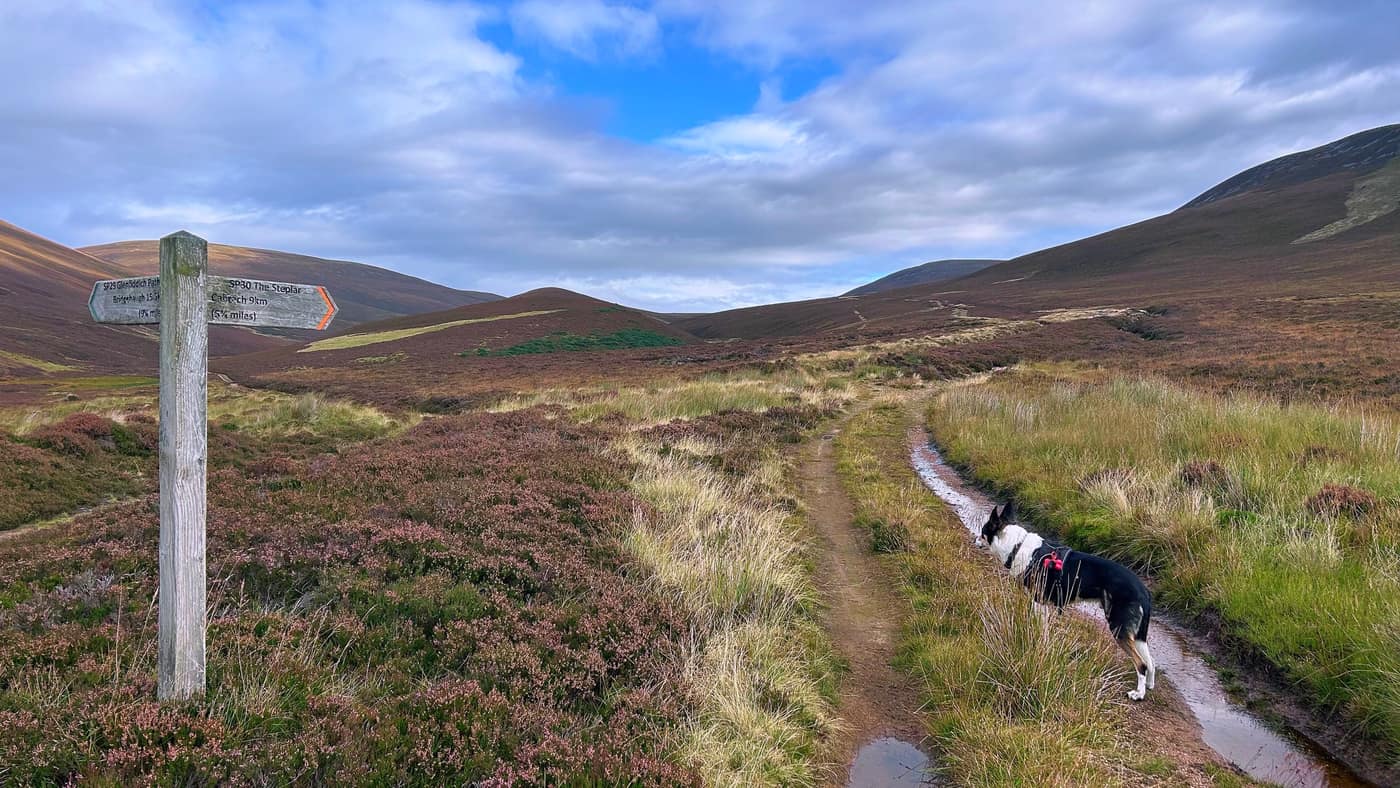 The fingerpost at the fork — the right-hand arm reads SP30 The Steplar, Cabrach 9 km