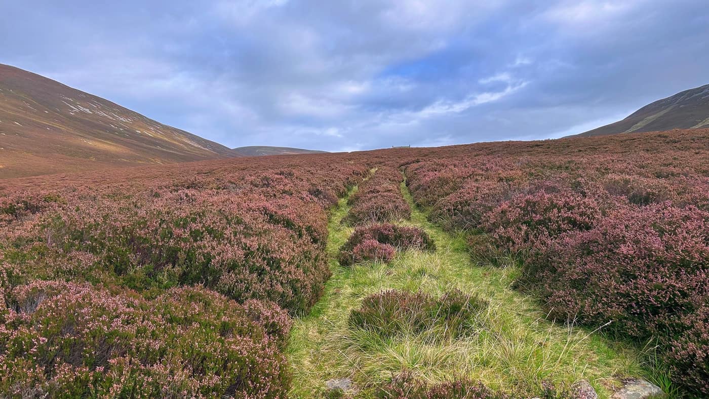 The grassy path climbing through the heather, still holding its colour