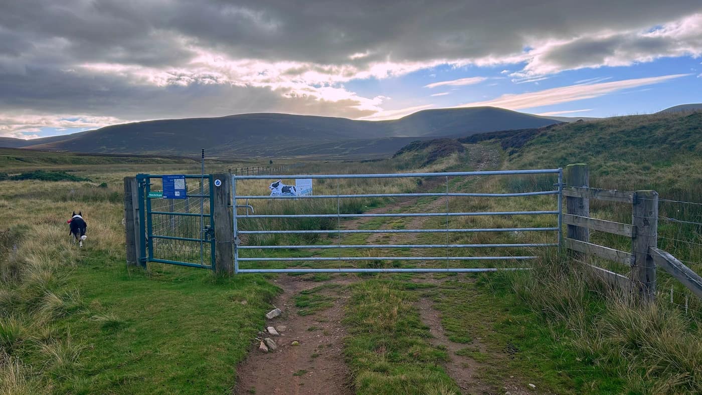The gate past the house, estate boards on it, Chase already through on the left