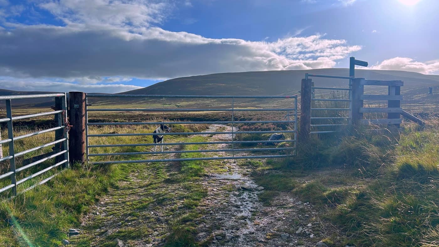 The next gate, the bag down beside it and Chase waiting on the far side
