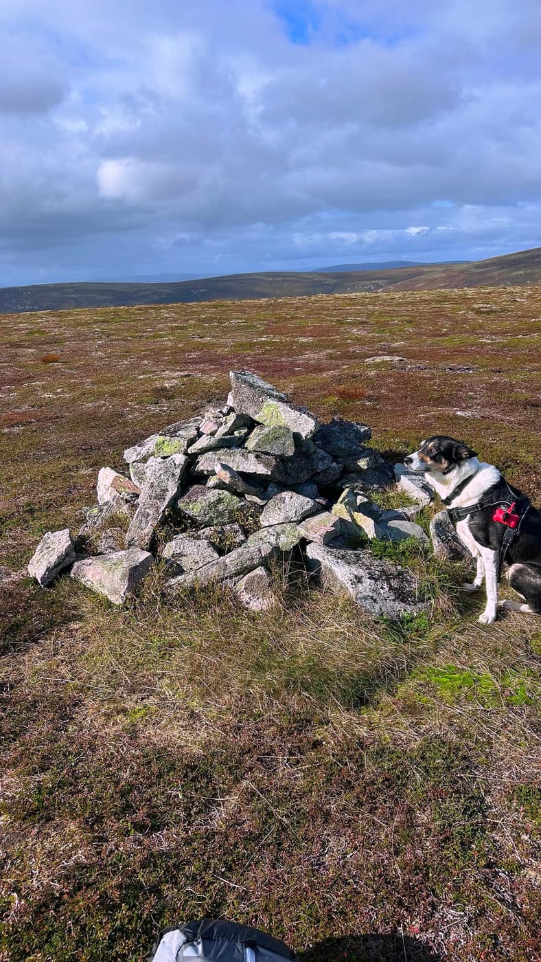 Chase sat in at the summit cairn