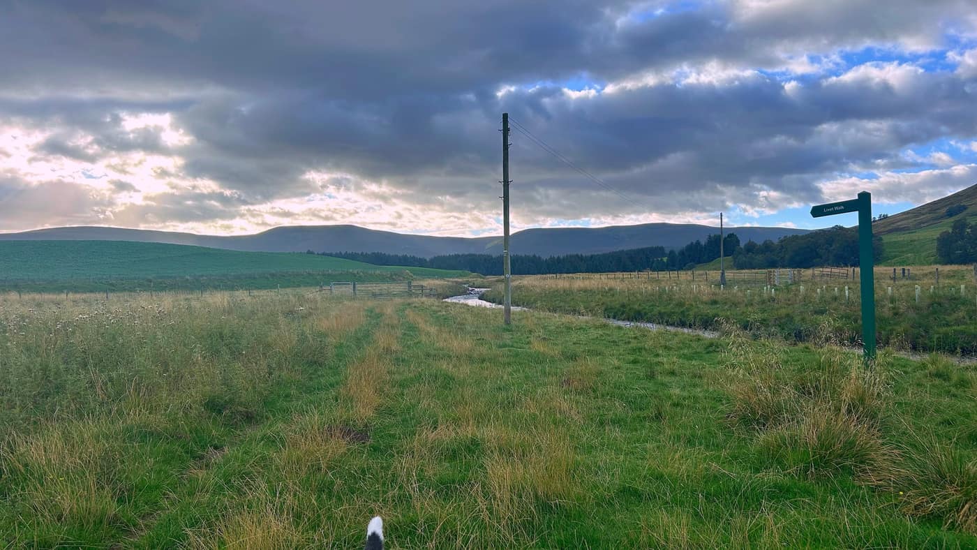 The grassy track running along the burn, the Livet Walk fingerpost ahead on the right