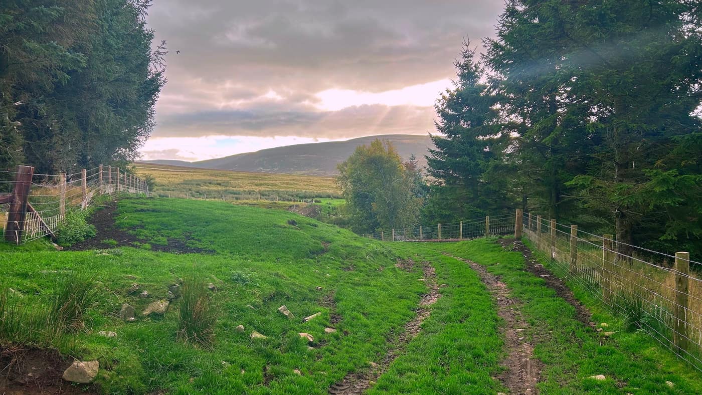 The track turning down between the fences, the moor and the hills ahead