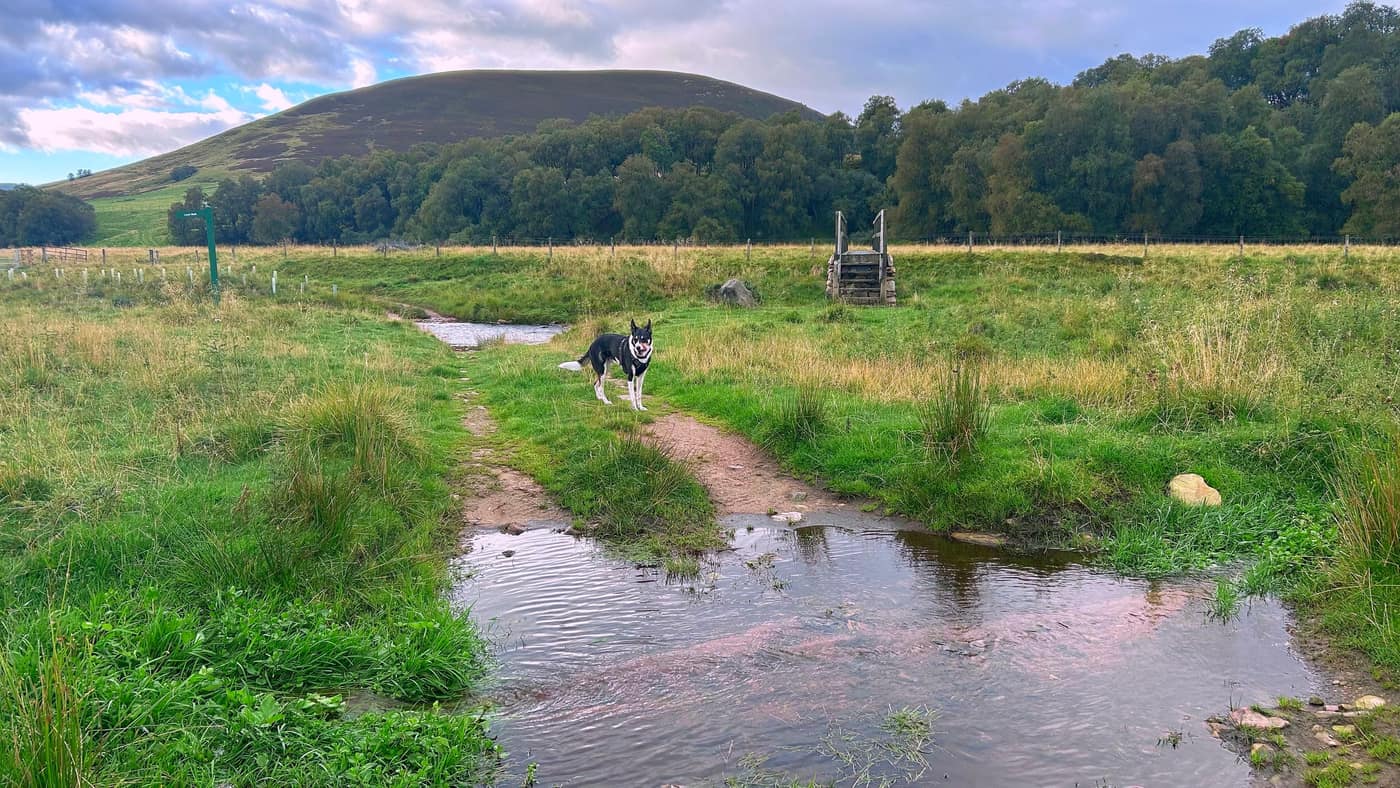 The burn crossing the path, Chase already over, and the bridge just beyond