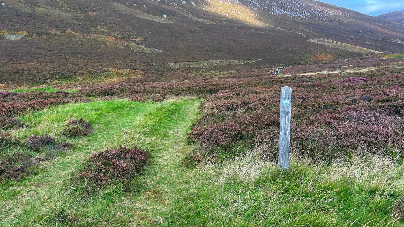 A waymarker post with its wee blue arrow, keeping you right along the path