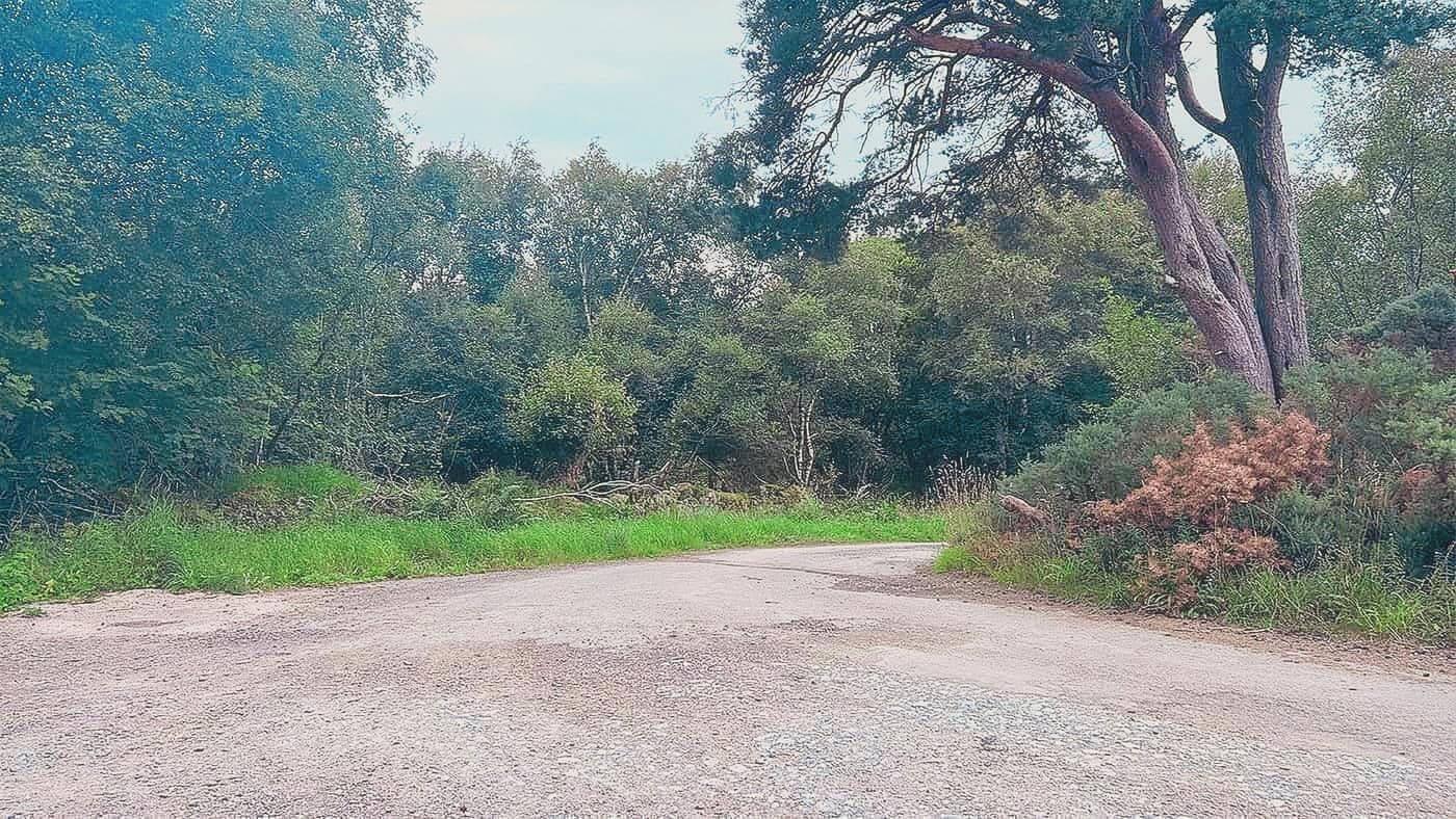 The sharp bend in the track beside the car park