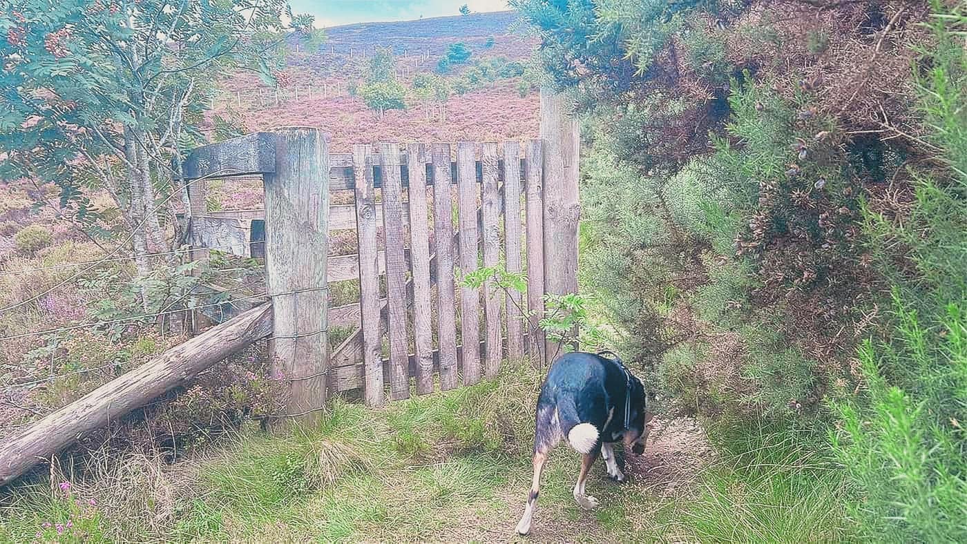 The second gate, with the open hill beyond