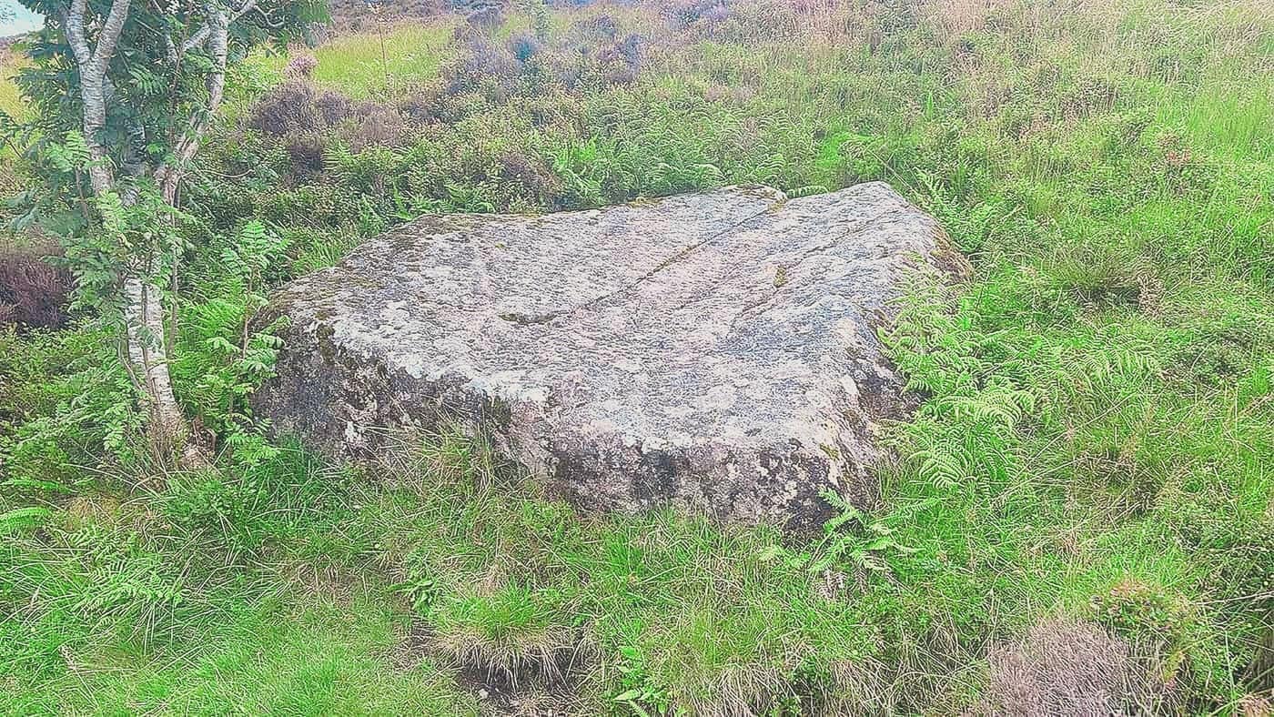 The flat rock beside the path