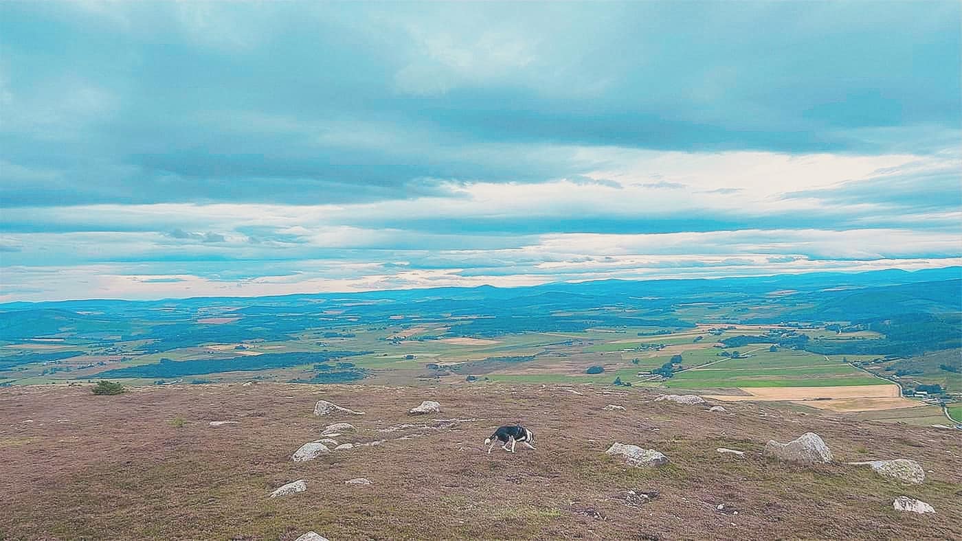 Chase on the summit plateau