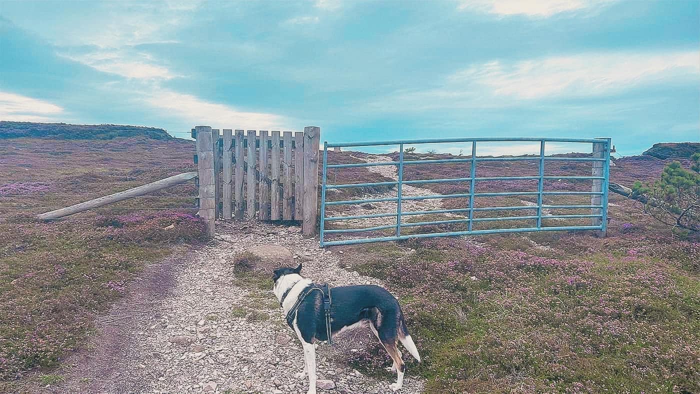 The gate below the summit