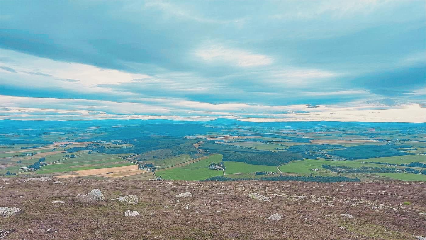 Farmland and forestry from the top