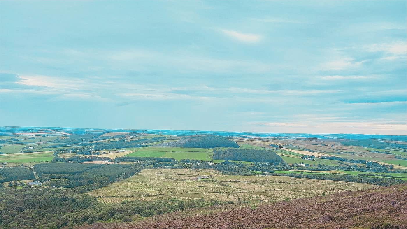 Fields and forestry from partway up