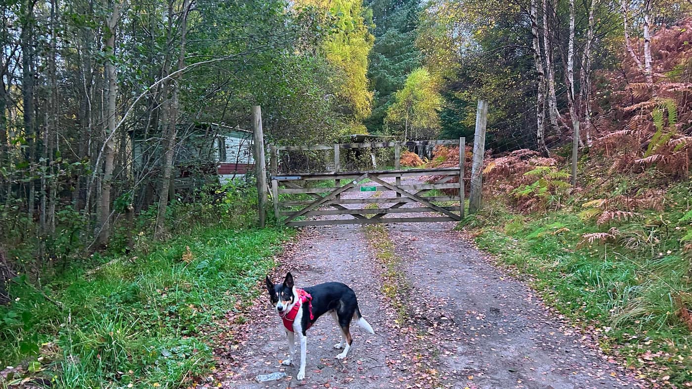 Chase at the first gate, the abandoned caravan behind it on the left