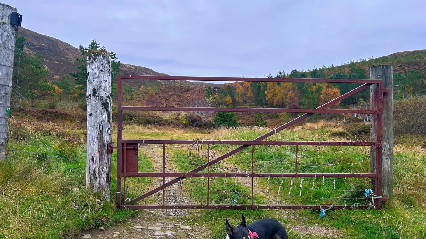 Chase at the next gate, the hillside rising beyond it