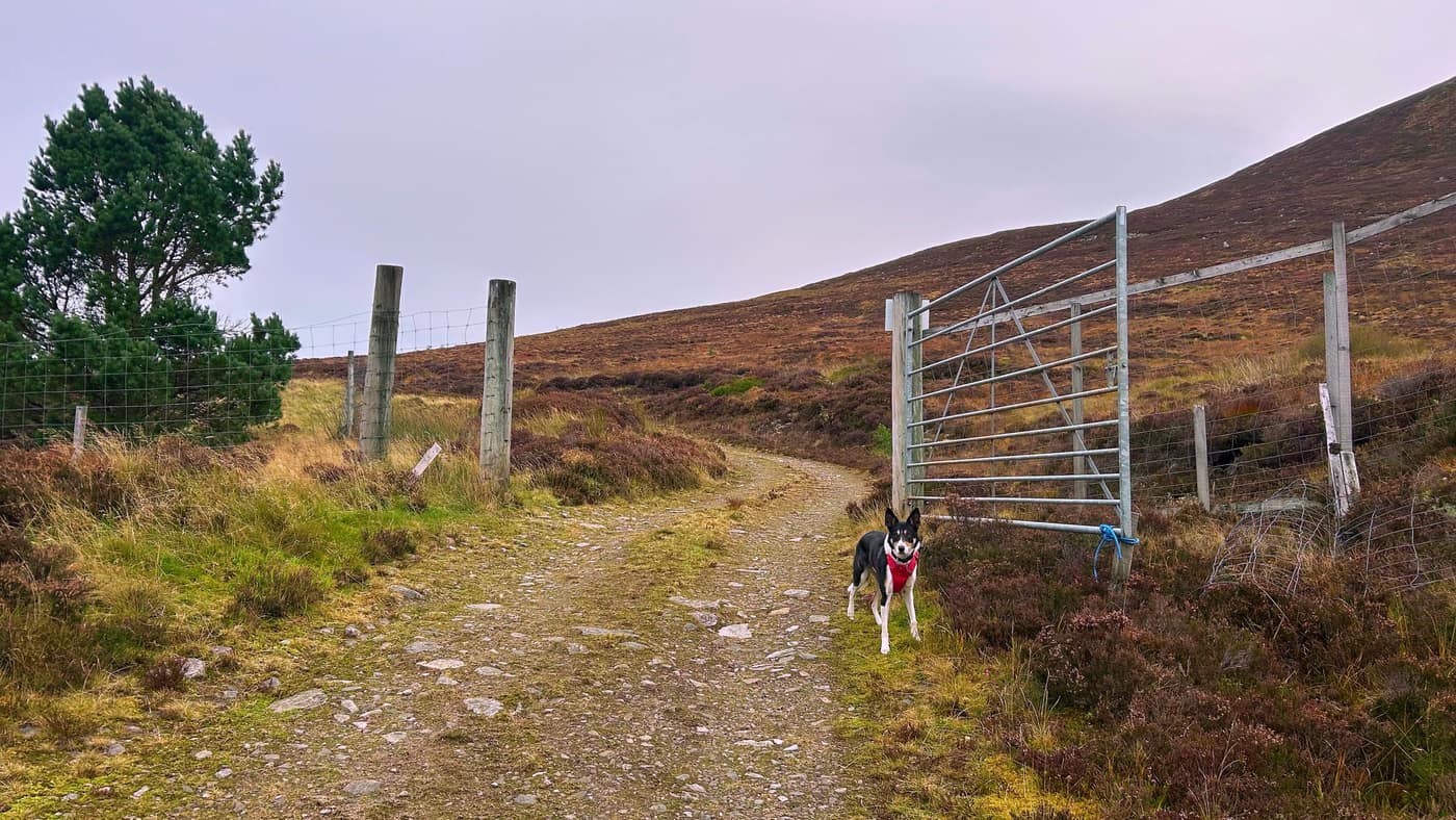 Chase at the last gate, the hill rising steeply behind it