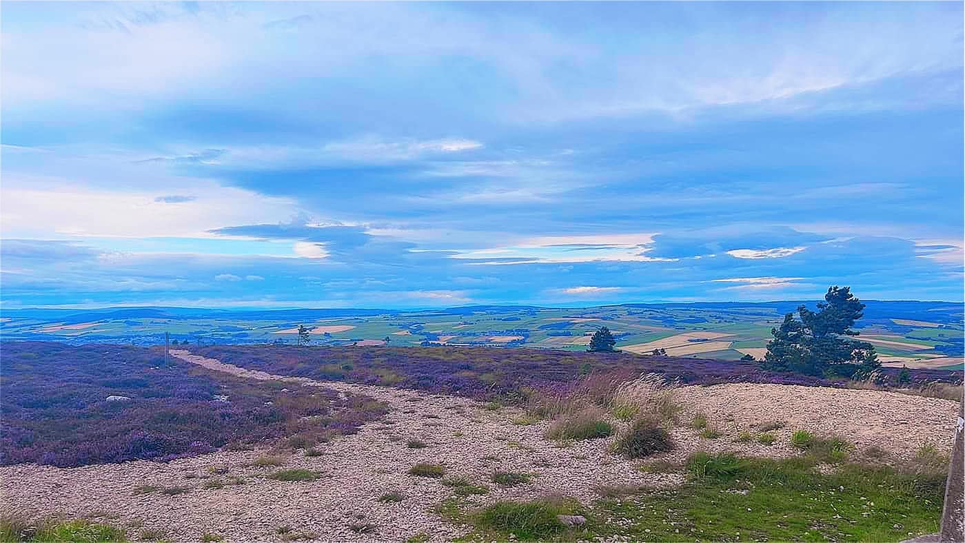 Looking north towards the coast