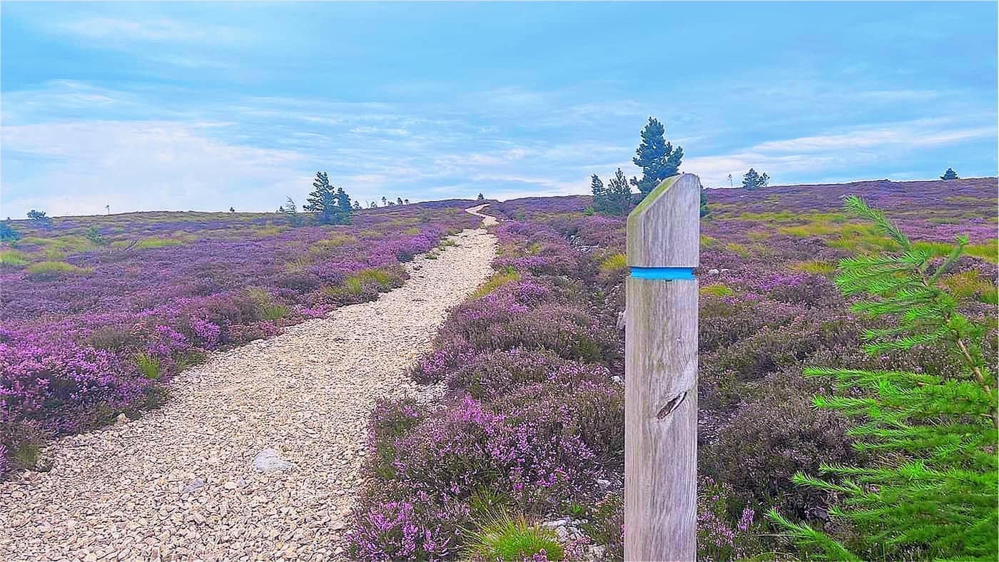 The path running on over the open hill