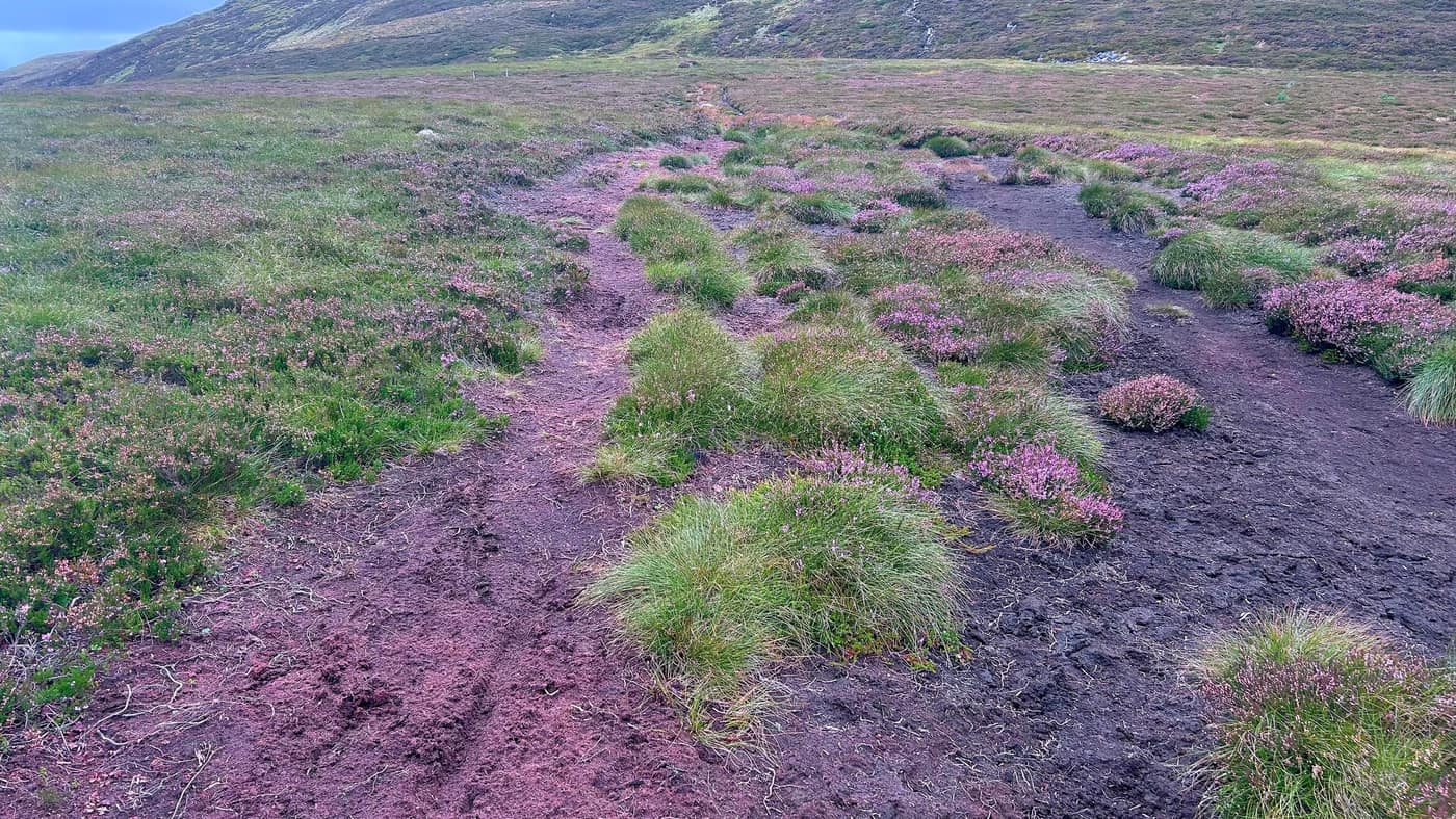 Churned peat and tussocks on the flat
