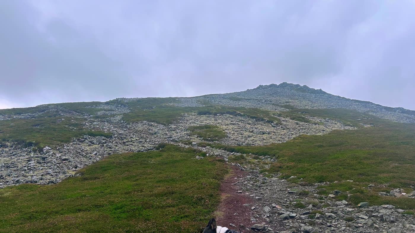 The real summit showing through the boulder field, Chase's head in the bottom of the frame