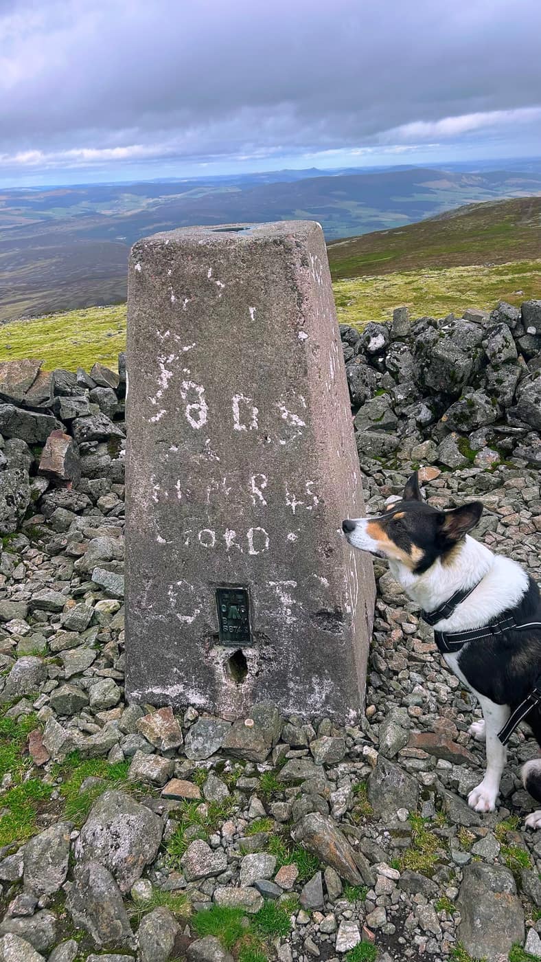 Chase sitting beside the trig point